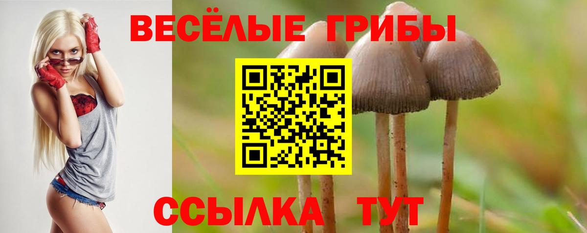 Псилоцибиновые грибы GOLDEN TEACHER Липецк